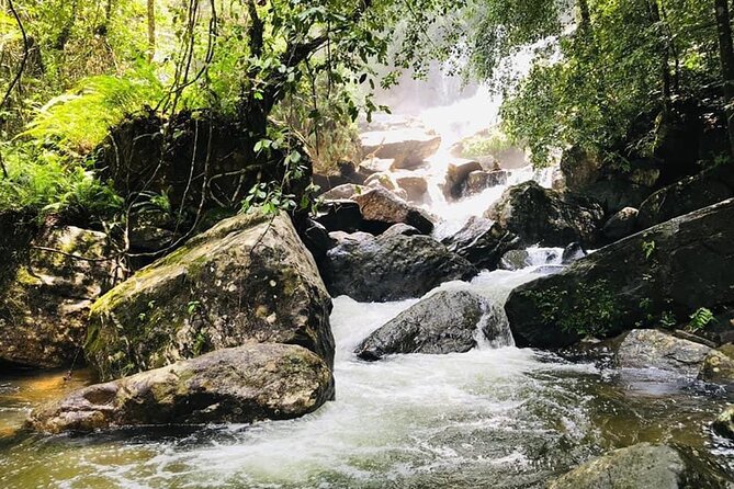 Sinharaja Rain Forest Guided Day Tour - Following the Gin Ganga