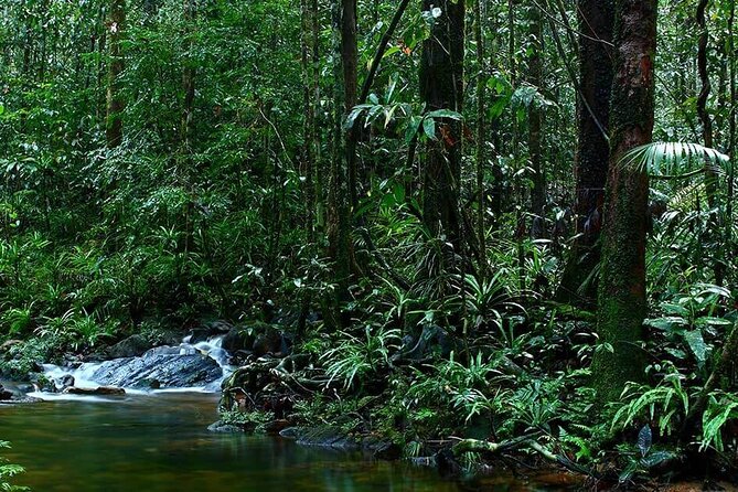 Sinharaja Rain Forest Guided Day Tour - The two waterfalls and a chance to swim