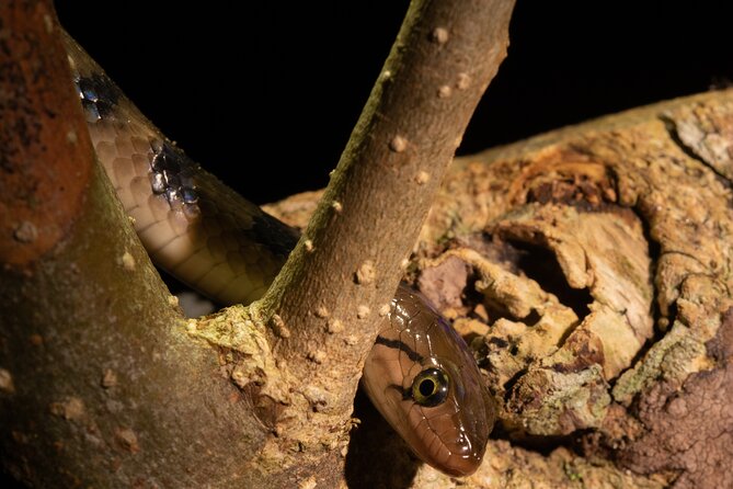 Sinharaja Rainforest Day Tour By Rainforest Expedition - Timing, booking, and cancellation details