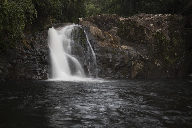 Sinharaja' rainforest - Discovery Tour (half day) - Walking the 3 to 4-hour rainforest trail