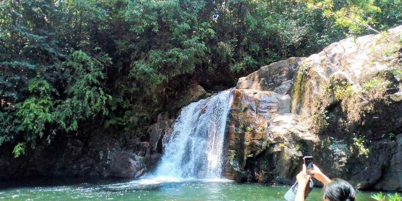 Sinharaja Rainforest Private & Customize Tour - A long morning from the south coast