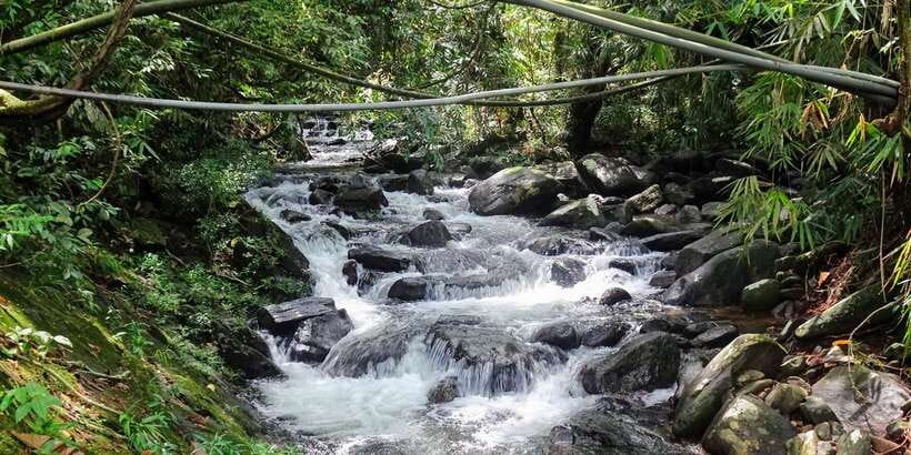 Sinharaja Rainforest Private & Customize Tour - Kakuna waterfall, lunch, and a forest swim