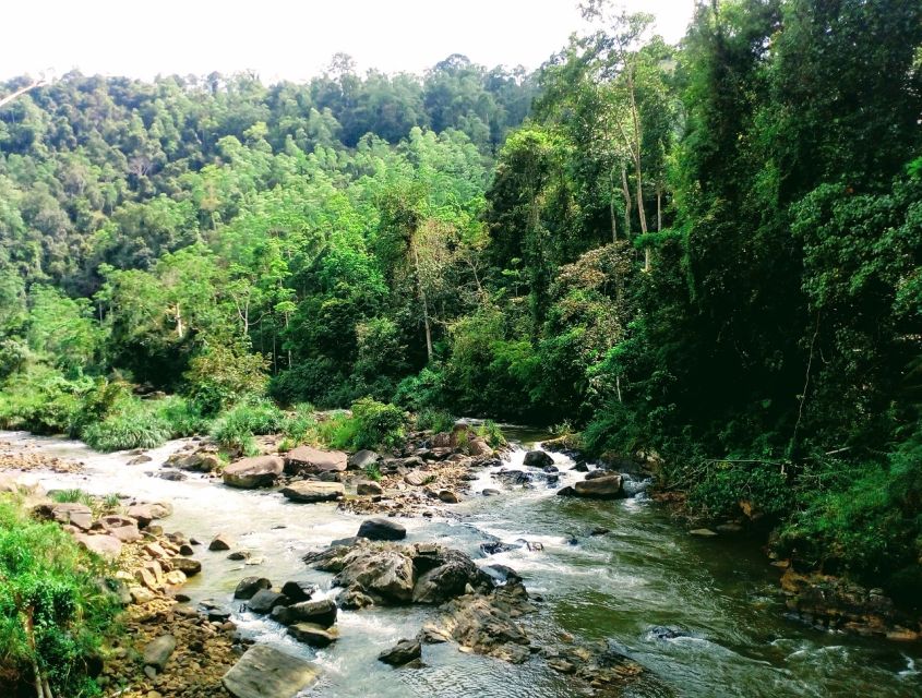 Sinharaja Rainforest Private & Customize Tour - Transport, communication, and private-tour comfort