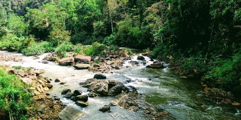 Sinharaja Rainforest Private & Customize Tour - Who will enjoy this day most