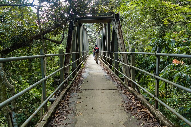 Sinharaja Rainforest Private Half Day Tour with Licensed Guide - Why this Sinharaja walk is worth your morning