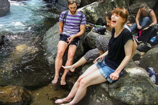 Sinharaja Rainforest Private Half Day Tour with Licensed Guide - Following the 2.5-kilometer forest path