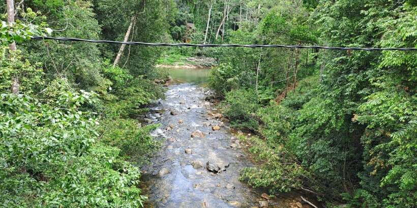 Sinharaja Rainforest Tour - Comfort, fitness, and what to pack