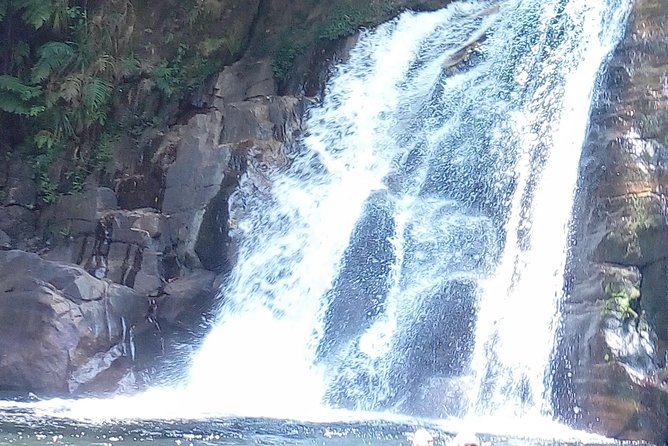 Sinharaja Rainforest Tour - Is $110 a fair price?