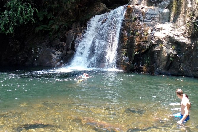 Sinharaja Rainforest Tour - Who will enjoy this Sinharaja tour?