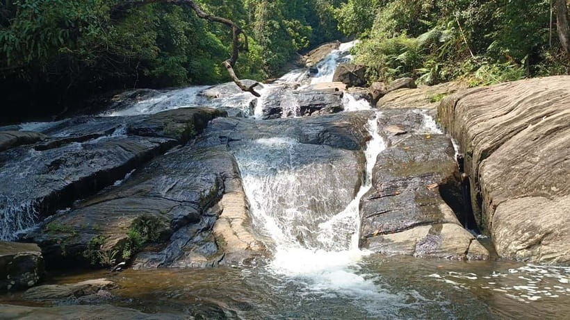 Sinharaja Rainforest: Tour with 5 Waterfalls Trek - Why five waterfalls make this a strong day trip