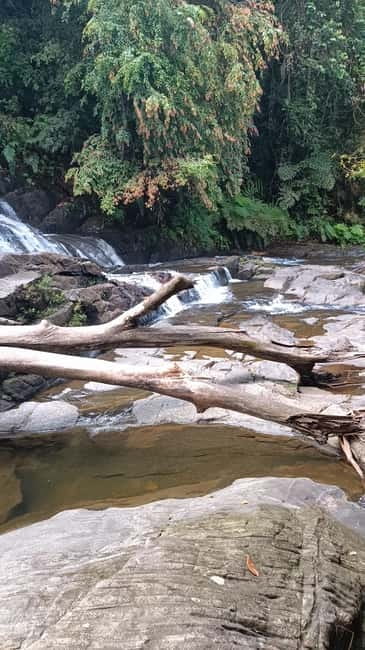 Sinharaja Rainforest: Tour with 5 Waterfalls Trek - Entering Sinharaja with a forest tracker