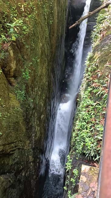 Sinharaja Rainforest: Tour with 5 Waterfalls Trek - A moderate walk, not a casual stroll