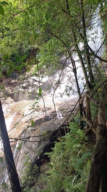 Sinharaja Rainforest: Tour with 5 Waterfalls Trek - Village rice and curry after the walk