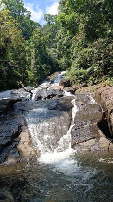 Sinharaja Rainforest: Tour with 5 Waterfalls Trek - Is $95 good value?