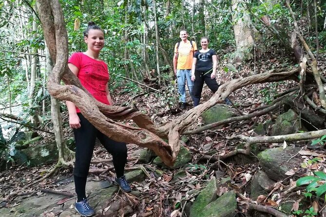 Sinharaja Rainforest Trekking Private Day Trip with Local Lunch - Is $120 a fair price for a private day?