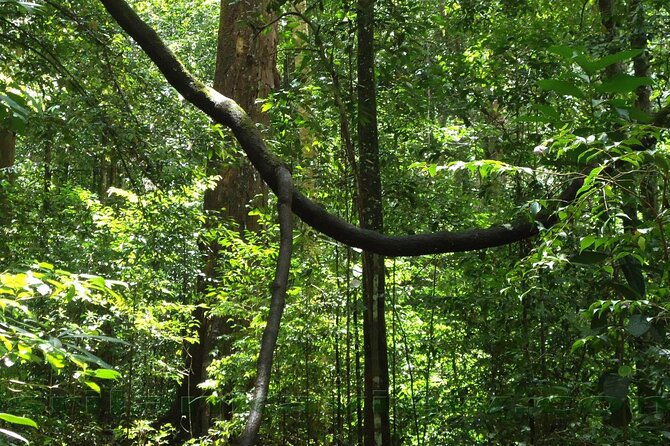 Sinharaja Rainforest Trekking Private Day Trip with Local Lunch - Who will enjoy this day most