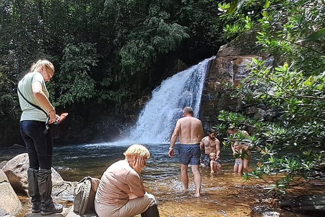 Sinharaja Rainforest Trip - Key points to know before booking
