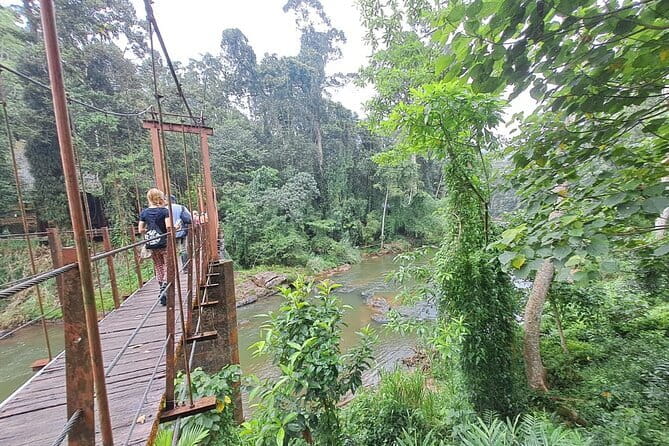 Sinharaja Rainforest Trip - Why Sinharaja is worth a full day from the coast