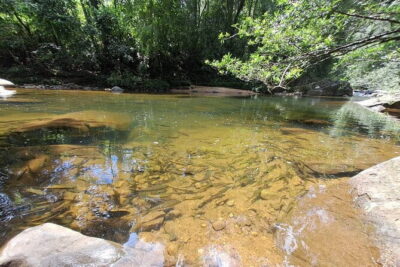 Sinharaja Rainforest Trip