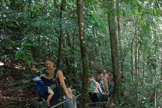 Sinharaja Rainforest Trip - What you may see inside the rainforest