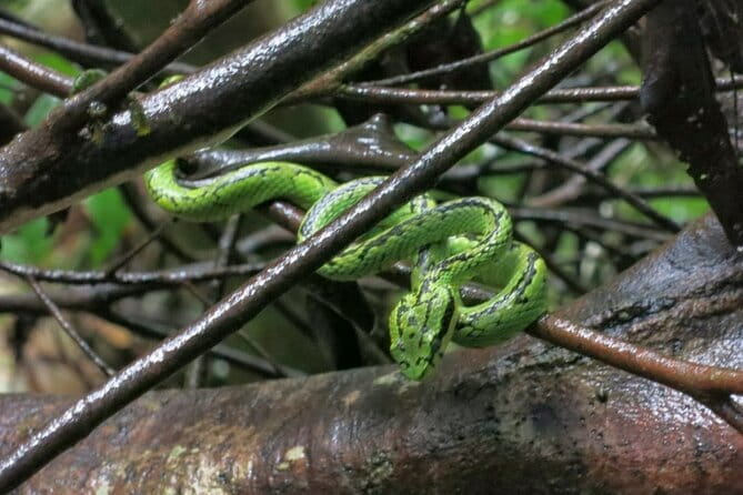 Sinharaja Rainforest Trip - The private format and group value