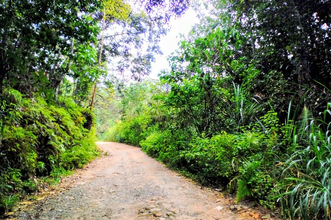 Sinharaja Rainforest & Udawalawe Safari - 2 Days, All Inclusive - Three hours inside Udawalawe National Park