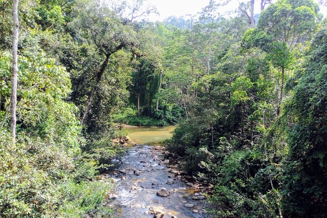 Sinharaja Rainforest & Udawalawe Safari - 2 Days, All Inclusive - What the $340 price really covers