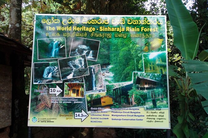 Sinharaja Rainforest & Udawalawe Safari - 2 Days, All Inclusive - Small questions worth settling first