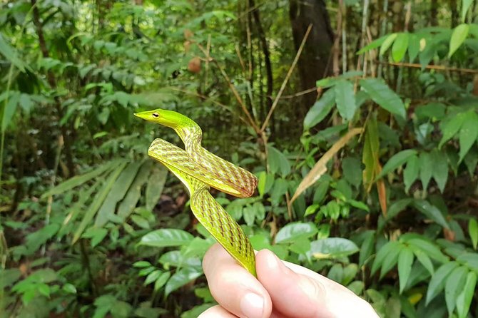 Sinharaja Short tour with 5 waterfalls tour or Adventure tour - What this Sinharaja tour is really about