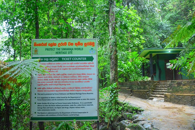 Sinharaja Short tour with 5 waterfalls tour or Adventure tour - What is included for $75 per person