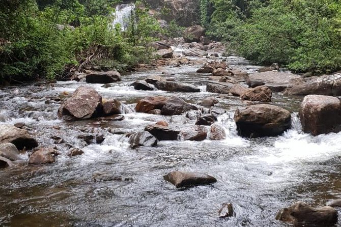 Sinharaja Short tour with 5 waterfalls tour or Adventure tour - Choosing the right Sinharaja entrance