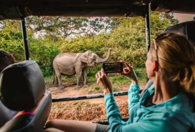 SKIP THE LINE – YALA SAFARI TOUR – Incl. ENTRY TICKETS