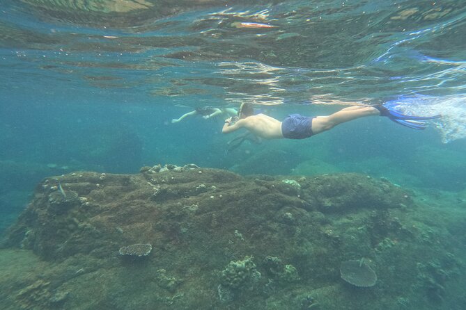 Snorkeling at Angel Rock - Key points to know before you book