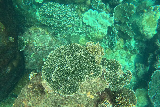 Snorkeling at Angel Rock - Why a guide can change the outing