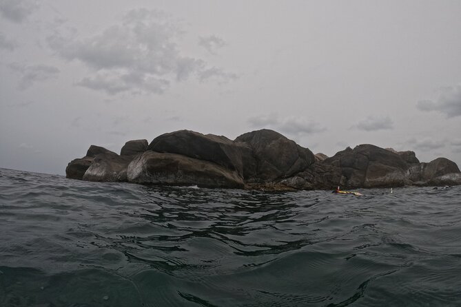 Snorkeling at Angel Rock - Group, private, and cost choices
