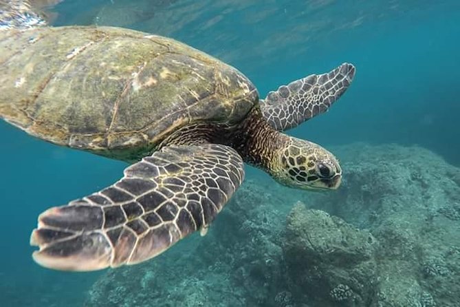 Snorkeling at Pigeon Island - Reaching Pigeon Island by boat