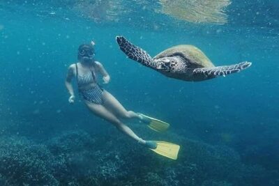 Snorkeling at Pigeon Island