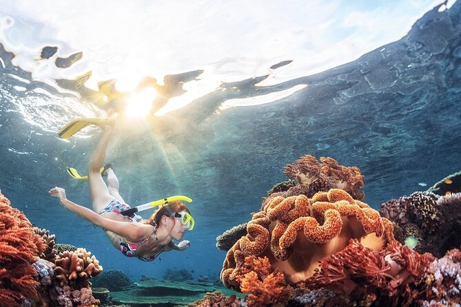 Snorkeling in Trincomalee - Key points before you book