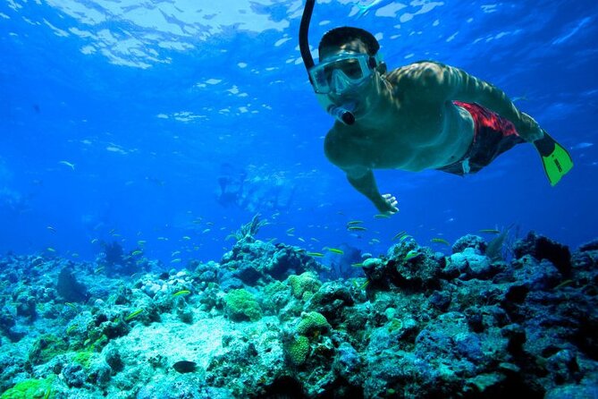 Snorkeling in Trincomalee - Why May through October matters