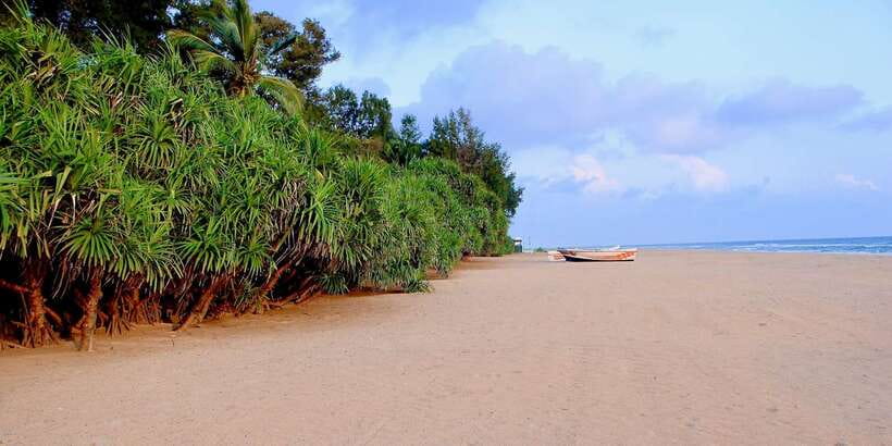 Snorkeling in Trincomalee - What the strongest part of the experience is