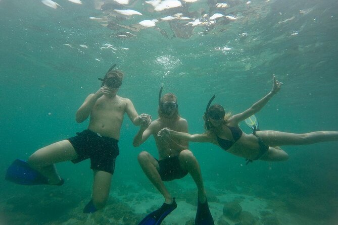 Snorkeling On Beautiful Rock Island - Unawatuna by Boat - Key points at a glance