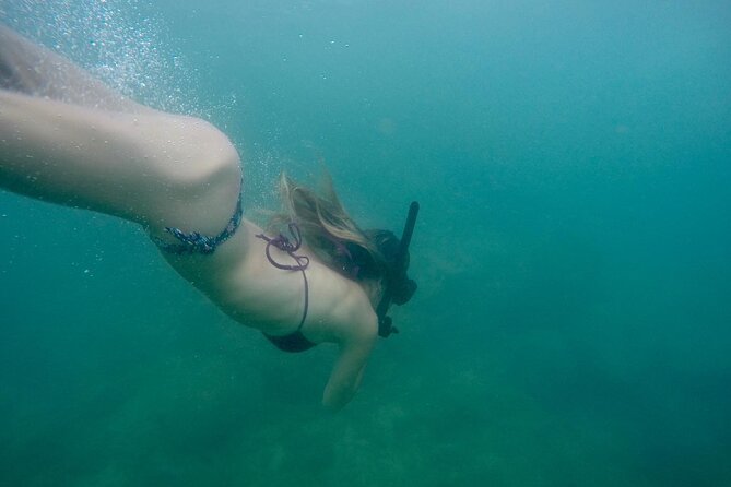 Snorkeling On Beautiful Rock Island - Unawatuna by Boat - How the guided water session works