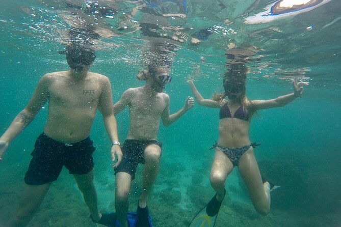 Snorkeling On Beautiful Rock Island - Unawatuna by Boat - What you may see around Rock Island