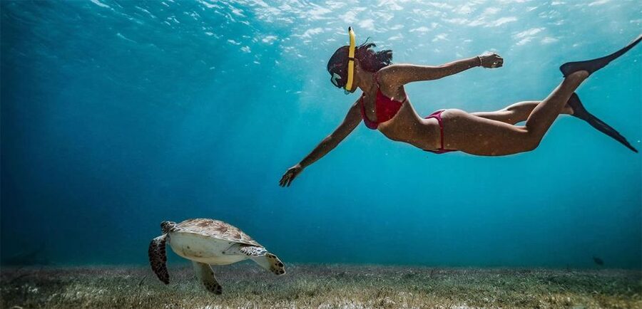Snorkeling Trip from Polhena Beach, Matara, Sri Lanka - Practical tips for making the most of it