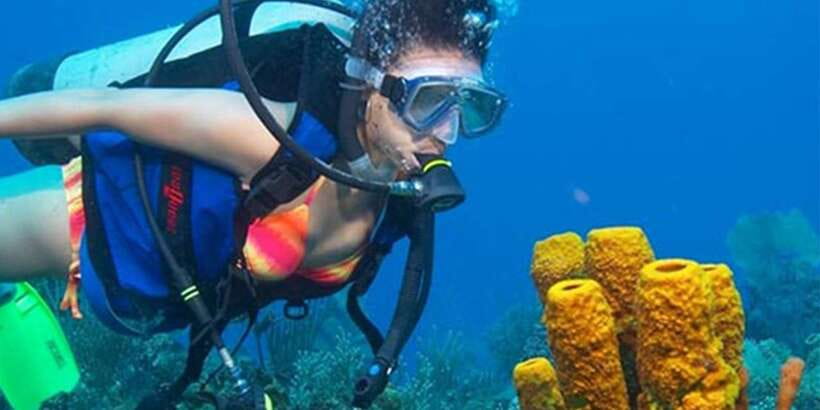 Snorkeling Trip from Polhena Beach, Matara, Sri Lanka - What the Polhena Beach outing is really about