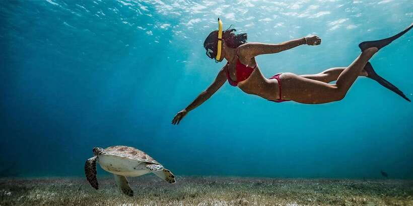 Snorkeling Trip from Polhena Beach, Matara, Sri Lanka - Looking for turtles near Polhena