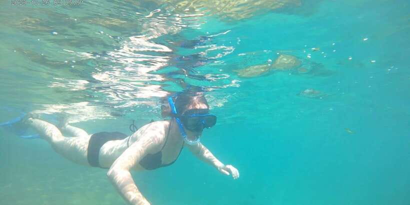 Snorkeling Trip from Polhena Beach, Matara, Sri Lanka - Fish, coral, and smaller sights