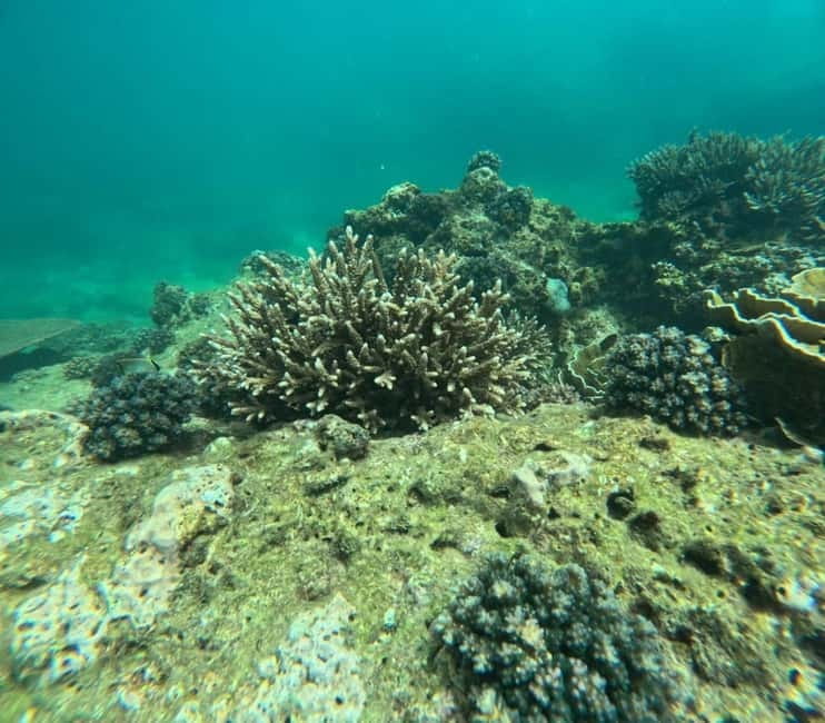 Snorkeling Trip To Angel Rock - Key points to know before booking