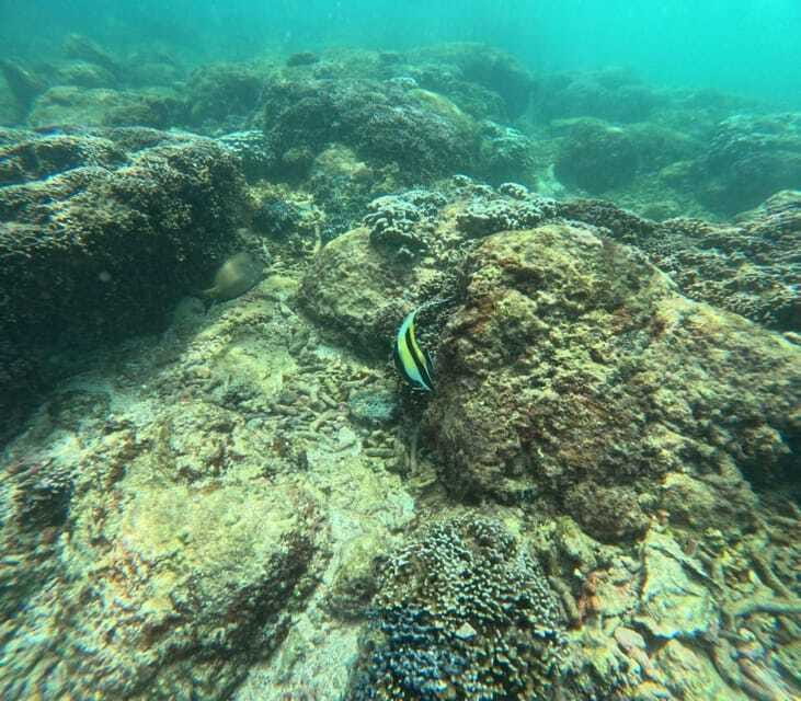 Snorkeling Trip To Angel Rock - What to bring for a comfortable outing
