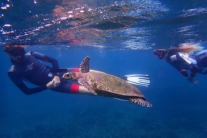 Snorkeling Trip To Pigeon Island - Who will enjoy this outing most?
